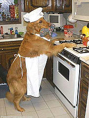 dog-cooking